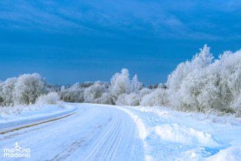 Ziema Madonas novadā 15.01.2026.